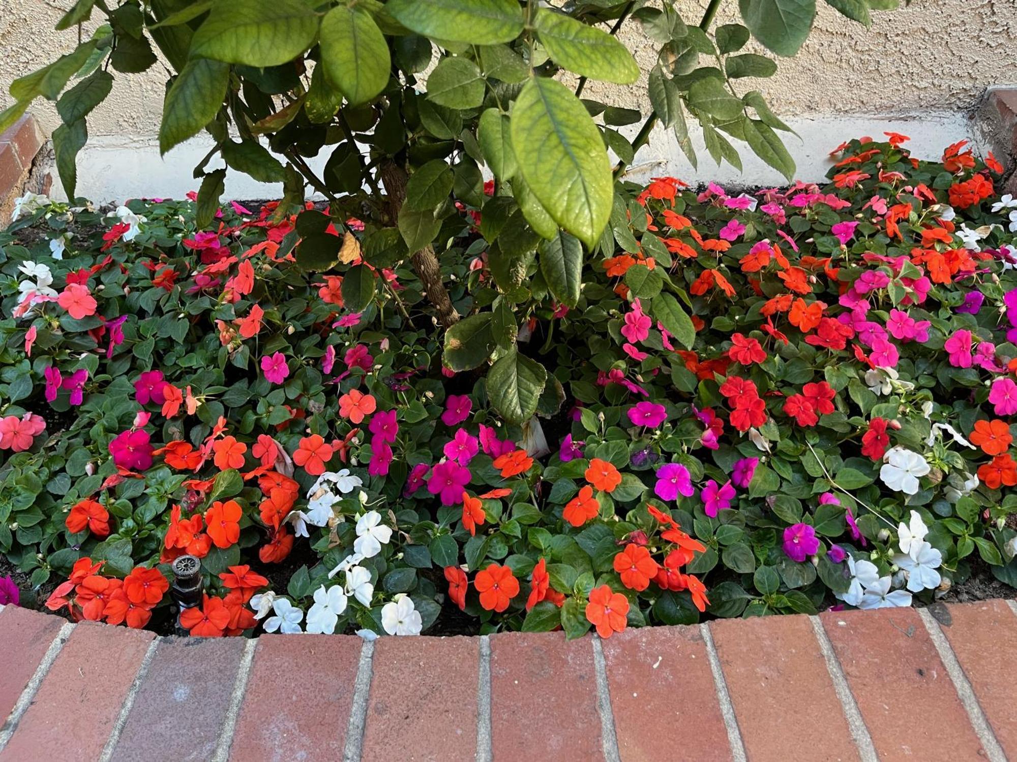 Laguna Inn And Suites San Juan Capistrano Exteriér fotografie